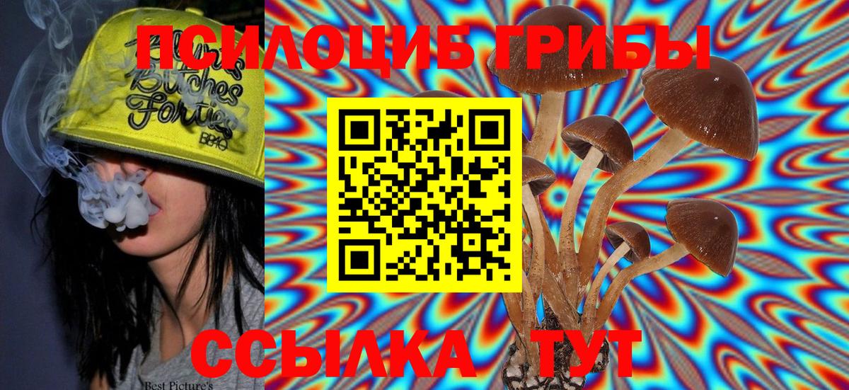 Галлюциногенные грибы MAGIC MUSHROOMS  наркота  Кореновск  Вход с VPN 