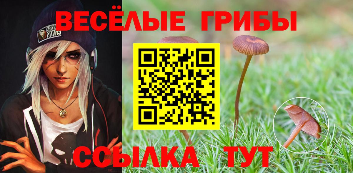 Галлюциногенные грибы прущие грибы Кореновск